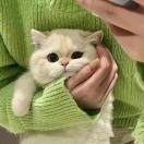 。