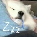 嗜睡