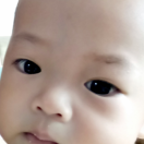 葉