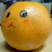 一只橙子