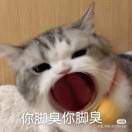初の念