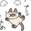 泠