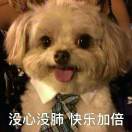 长高长高