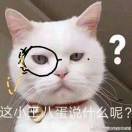 呜啦啦