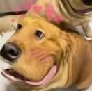 静