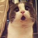 本人太帅名称无法显示