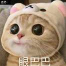 哦耶