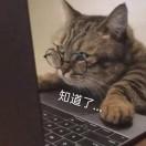 会呼吸的兔贼