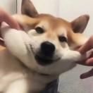怪奇0