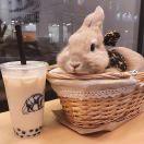 小半