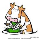 我的家乡有大鱼（上安恬）