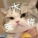 西柚
