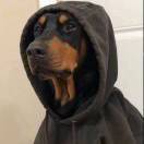 §