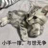 海棠花未眠