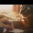 Mr.哈