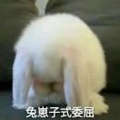。。。。。。