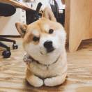 暖冬