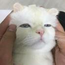 ___？
