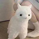折耳根丶