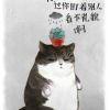 ◆◇ミ掉在愛的沙漠丿