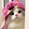 瑞笙