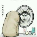 虚数小王子