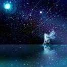 星辰相随伴汝