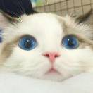 微笑。