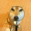 。
