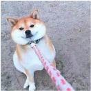最平凡