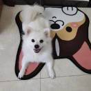 一一一一点