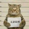 小疯疯