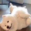 っ