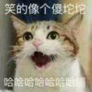 不搞柠檬duo