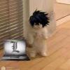 ♤D·N_L.Lawliet
