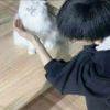一直爱敏ˡᵃ