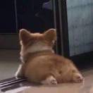 森陌