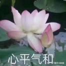 Liu Zihao