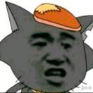 迷路的大哲学家灰太狗