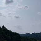 戈阳