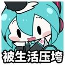 什么菇