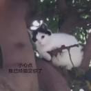 沉迷学习