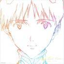 Shin