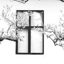 青年