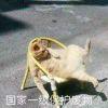 零亘
