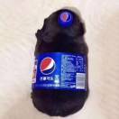 cola