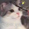彗星