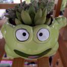 ༺ཌ叶落 ℘秋晨ད༻