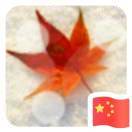 未闻花名