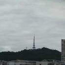 莲子